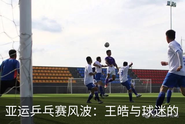 亚运乒乓赛风波：王皓与球迷的“猫鼠游戏