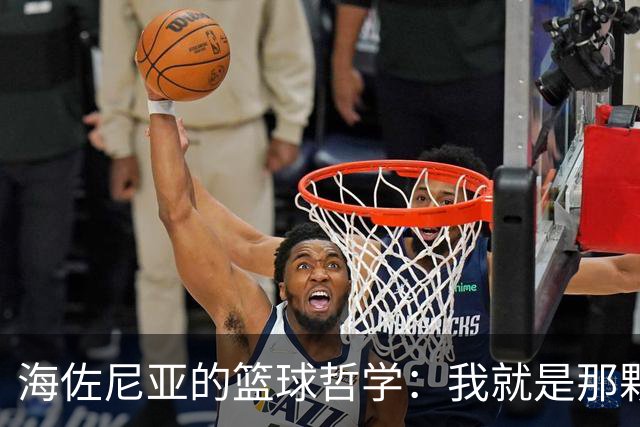 海佐尼亚的篮球哲学：我就是那颗调味球