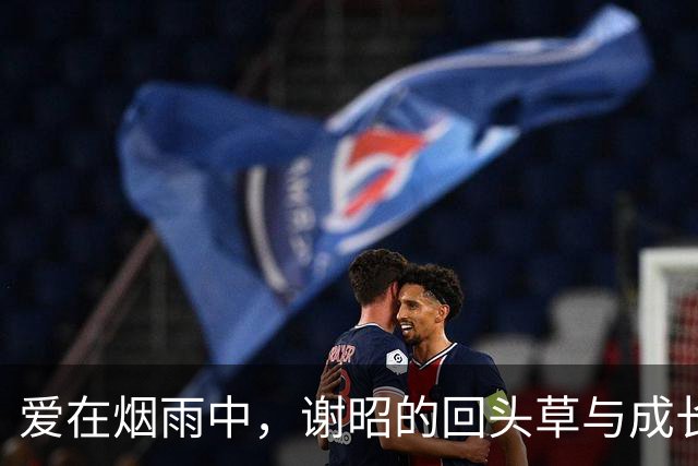 爱在烟雨中，谢昭的回头草与成长之路